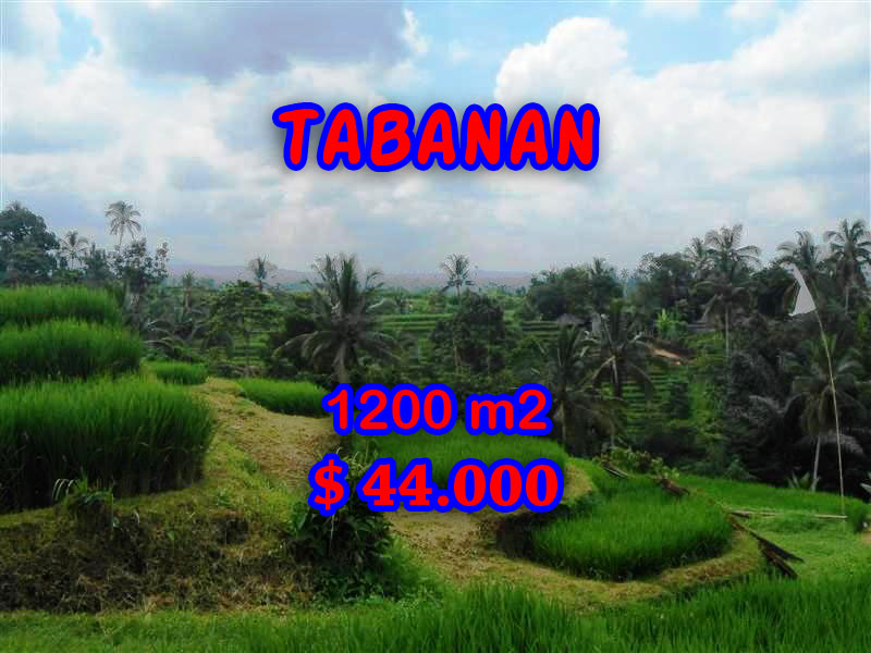 Tabanan Land for sale