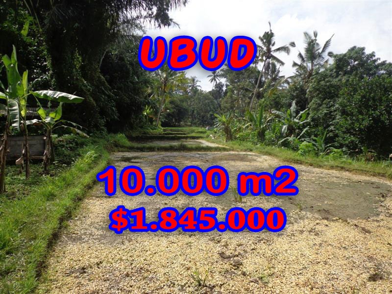  Land sale in Ubud Bali