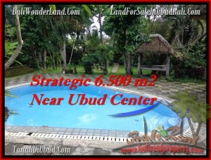 Magnificent PROPERTY LAND FOR SALE IN UBUD TJUB479