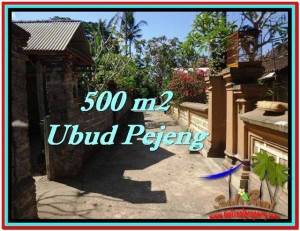 Magnificent PROPERTY 500 m2 LAND IN Ubud Pejeng FOR SALE TJUB515