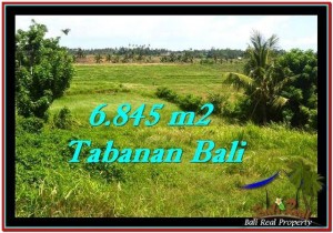 Magnificent TABANAN BALI 6,845 m2 LAND FOR SALE TJTB245