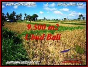 Magnificent PROPERTY 9,500 m2 LAND IN Sentral Ubud BALI FOR SALE TJUB548
