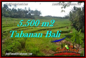 Affordable PROPERTY LAND IN TABANAN FOR SALE TJTB280