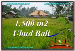 Affordable 1,500 m2 LAND IN UBUD BALI FOR SALE TJUB558