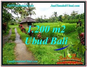 Exotic UBUD BALI 1,200 m2 LAND FOR SALE TJUB559