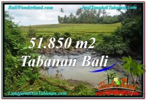 Magnificent 51,850 m2 LAND IN TABANAN BALI FOR SALE TJTB289