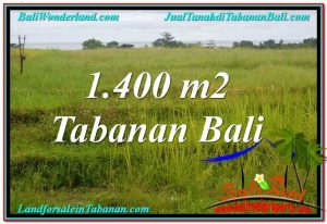 Exotic 1,400 m2 LAND IN TABANAN FOR SALE TJTB309