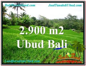 2,900 m2 LAND SALE IN UBUD TJUB564