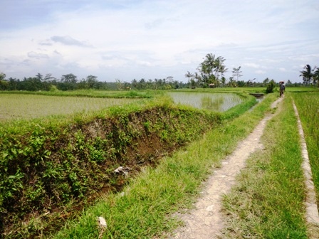 Ubud Bali Land For Sale