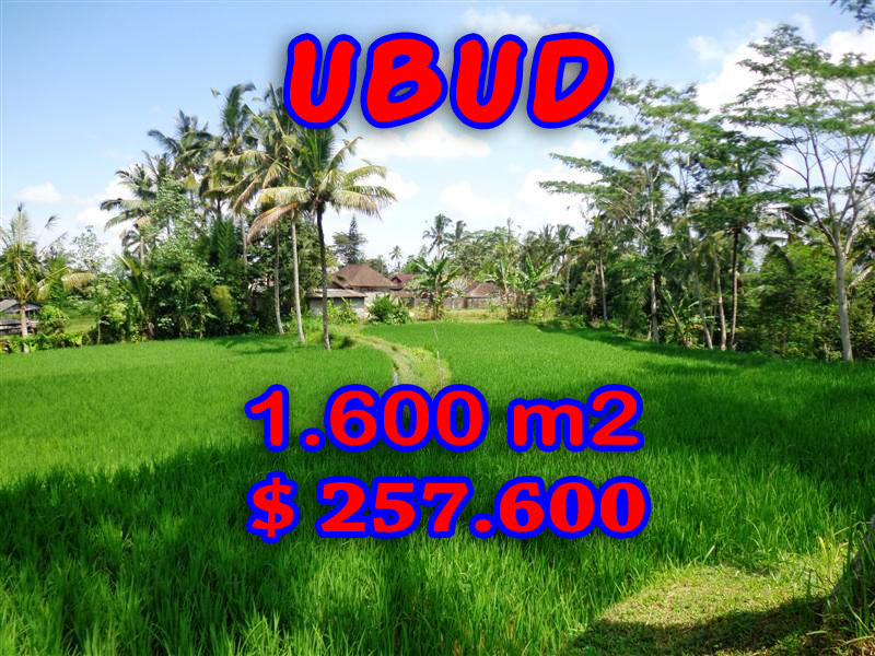 Land for sale in Ubud Bali 15.000 sqm in Ubud Tegalalang