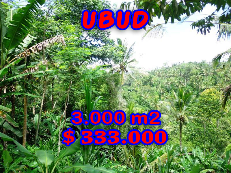 Land-sale-in-Ubud
