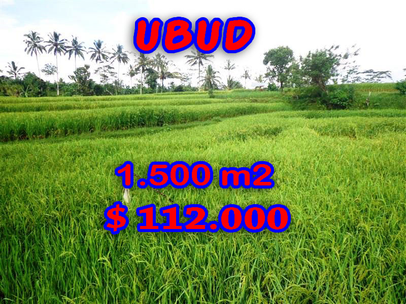 land for sale in Bali