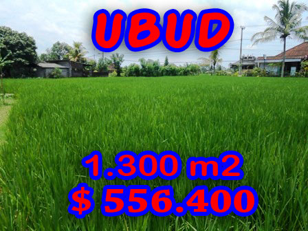 Land-for-sale-in-Ubud-Bali