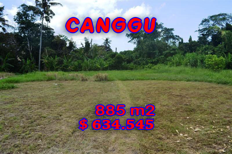 Land for sale in Canggu