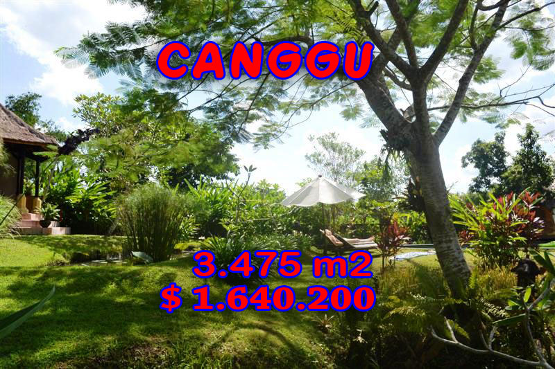 land in Canggu Bali for sale
