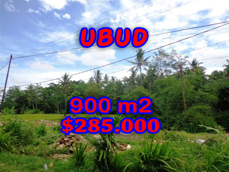 FantasticLand in Bali for sale, Amazing rice fields view  in Ubud Tegalalang  – TJUB259