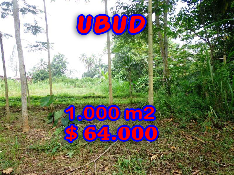 Land for sale in Ubud land