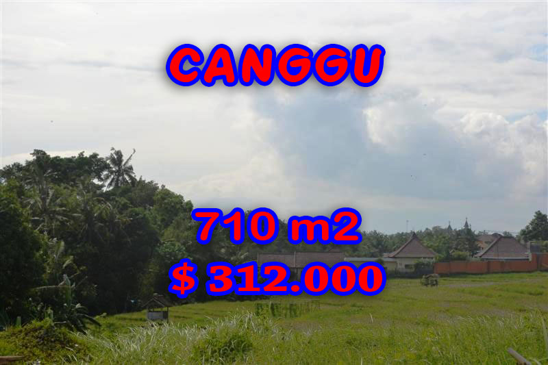 Land for sale in Bali, exceptional view in canggu Berawa – TJCG110