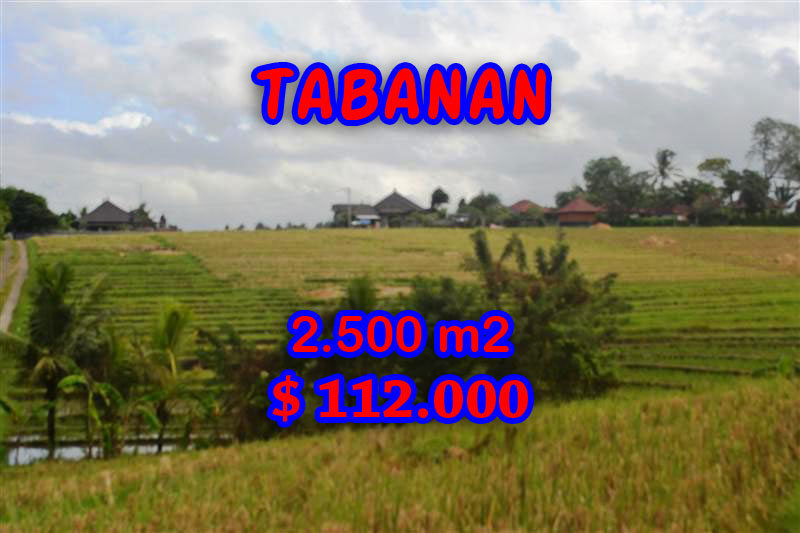 Land sale in Tabanan Bali