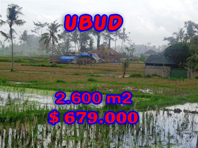 Property-for-sale-in-Ubud-land