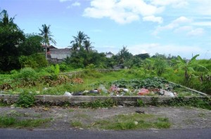 TJCG112 Land for sale in Canggu Bali