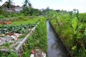 TJCG112 Land for sale in Canggu Bali