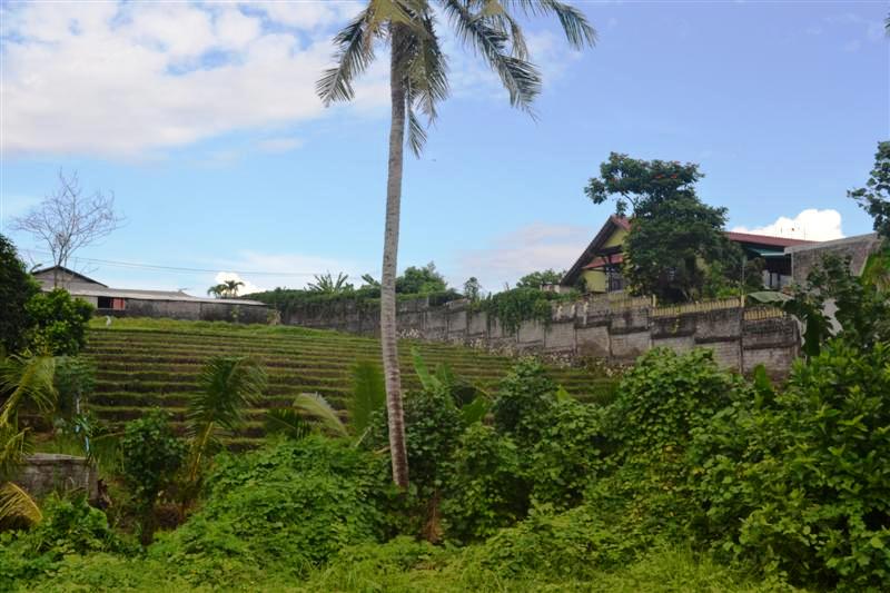 TJCG112 Land for sale in Canggu Bali