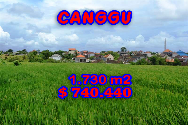Canggu Land for sale