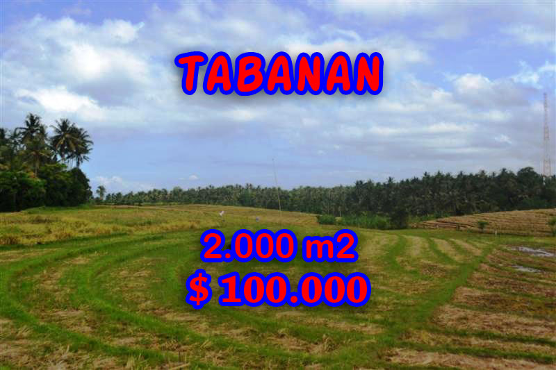 Fascinating Land in Bali for sale in Tabanan Tanah Lot Bali – TJTB055