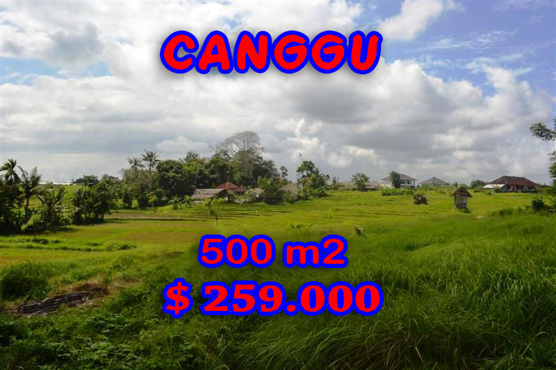 Property for sale in Canggu land