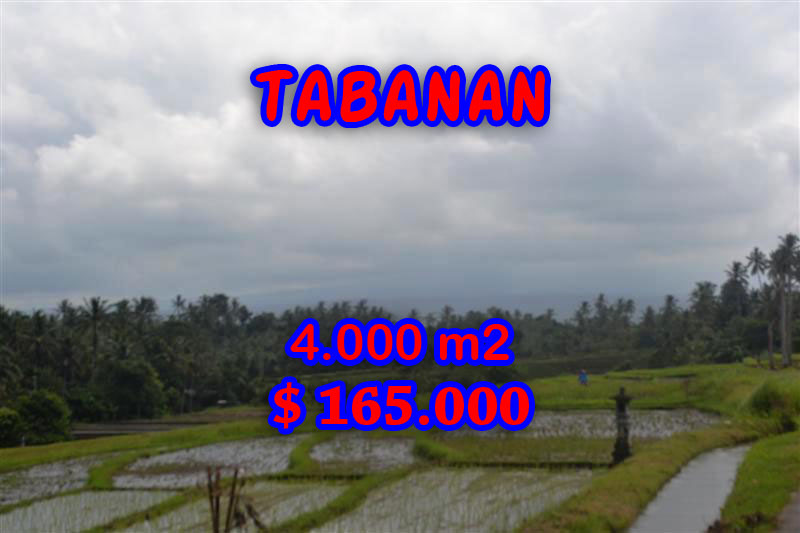 Property for sale in Tabanan land