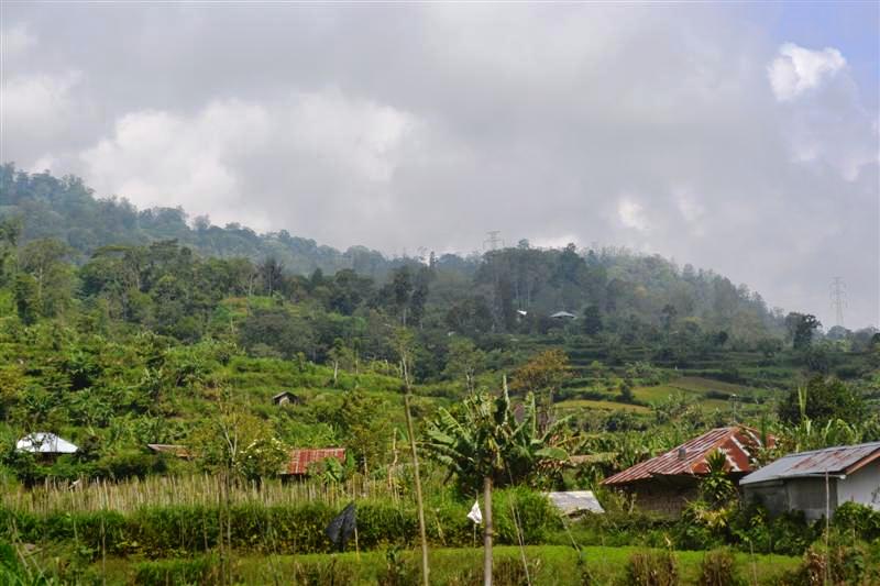 Land for sale in Bedugul Tabanan Bali