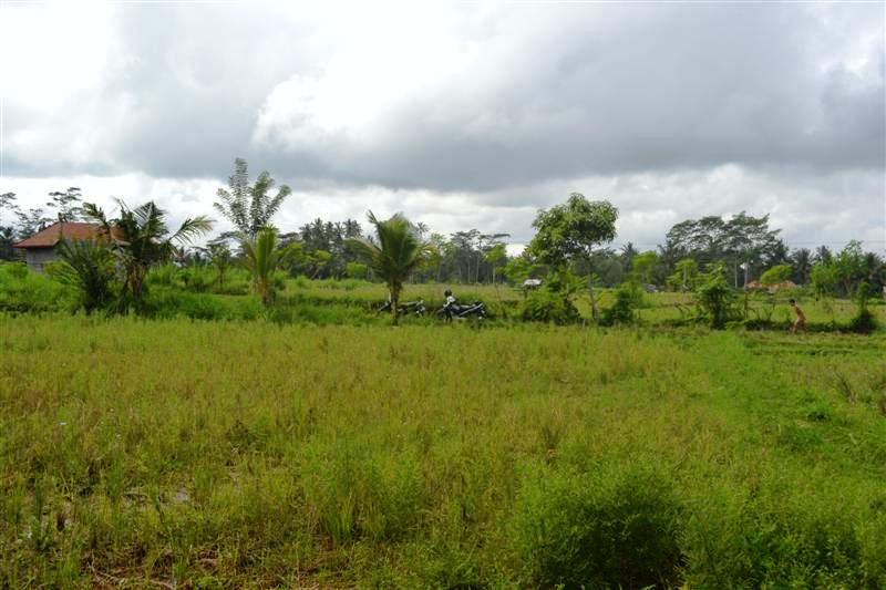 Land in Ubud Bali for sale