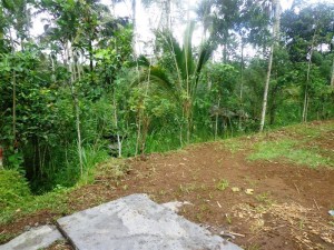 Land for sale in Ubud Bali