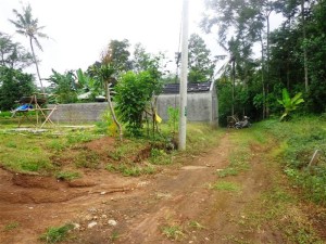 Land for sale in Ubud Bali