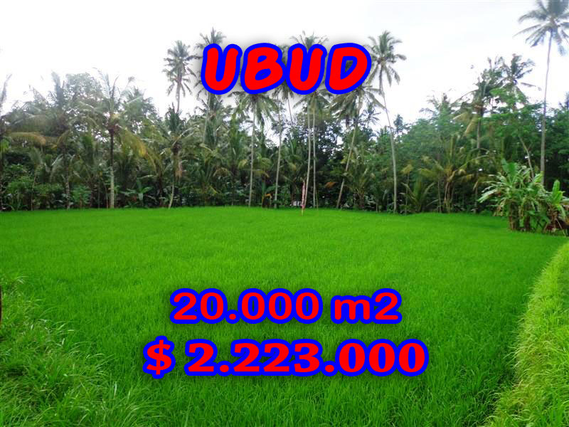 Ubud-Land-for-sale