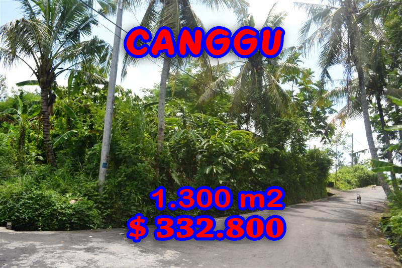 Property for sale in Canggu land