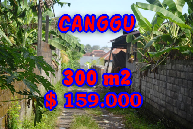 Land for sale in Canggu land