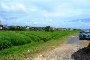 Land for sale in Canggu Bali