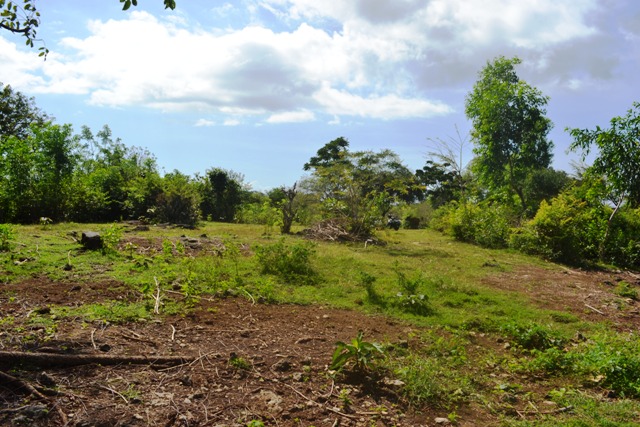Land for sale in Jimbaran Bali