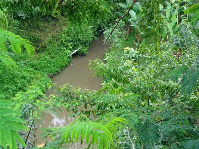 Land for sale in Ubud Bali