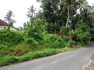 For sale land in Ubud Bali