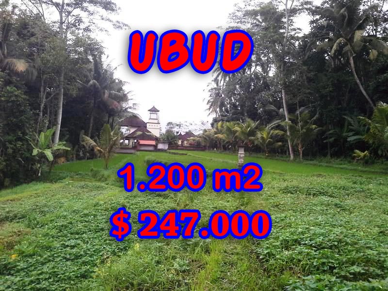 Land for sale in Ubud Bali