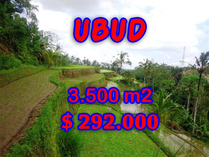 Land-in-Ubud-for-sale