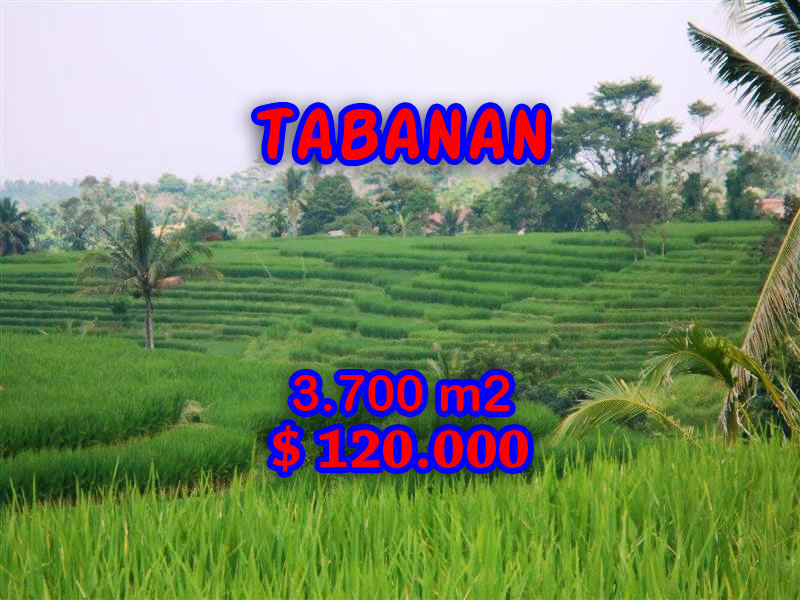 Land in Tabanan Bali