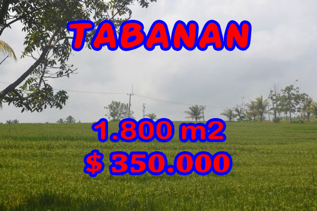 Land-sale-in-Tabanan