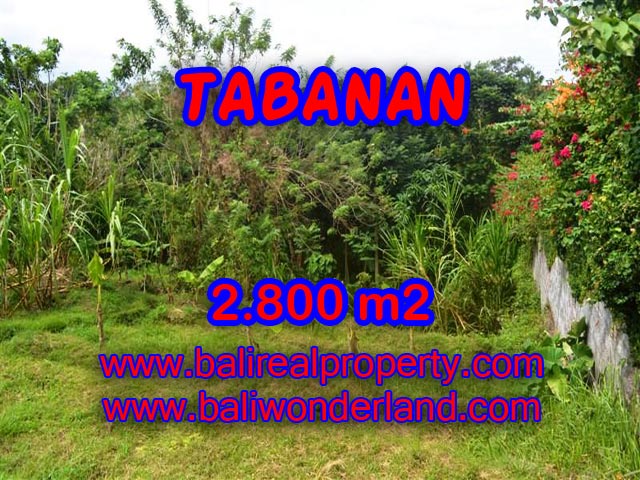 Land for sale in Tabanan