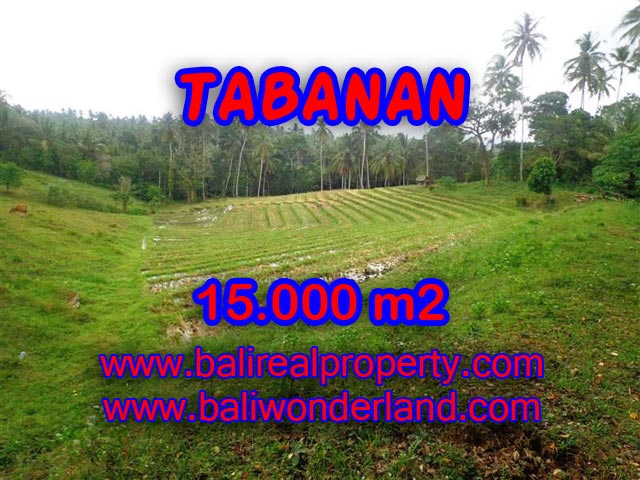 Land sale in Tabanan Bali
