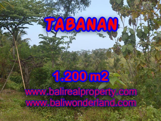 Property sale in Bali, Beautiful land for sale in Tabanan Bali – TJTB072