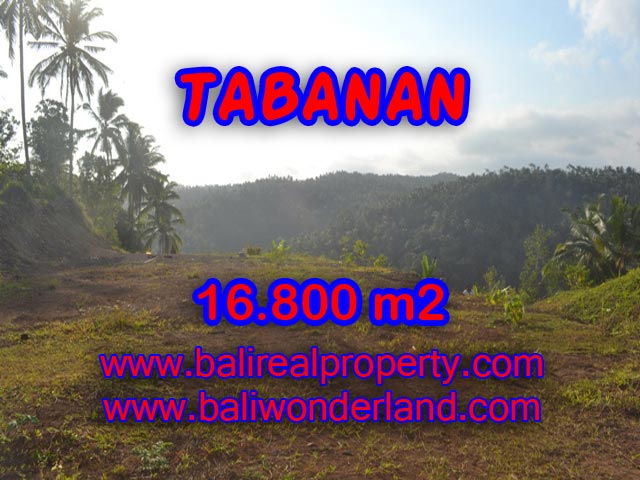 Land in Tabanan for sale, Stunning view in SELEMADEG TABANAN Bali – TJTB075